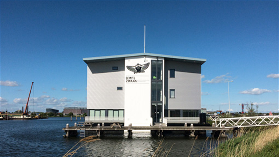 Bonte Zwaan